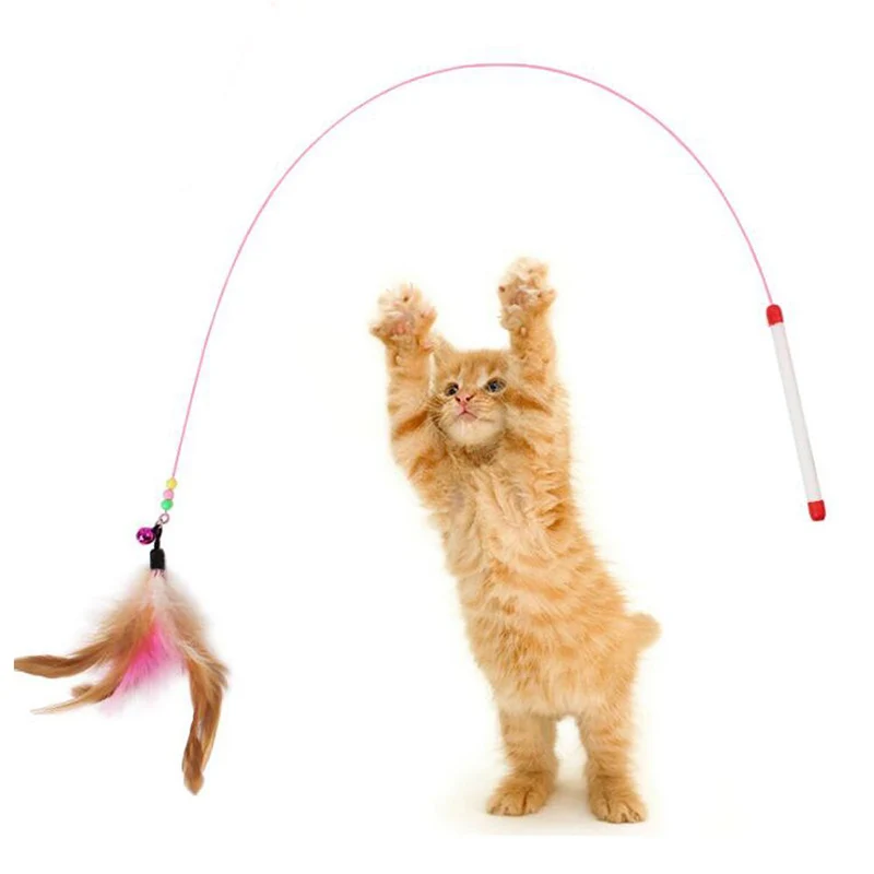 1pc Funny Pet Cat Toy Cute Design Plastic Steel Wire Feather Teaser Wand Toy for Cats Interactive Products for Pet High Quality
1pc Funny Pet Cat Toy Cute Design Plastic Steel Wire Feather Teaser Wand Toy for Cats Interactive Products for Pet High Quality