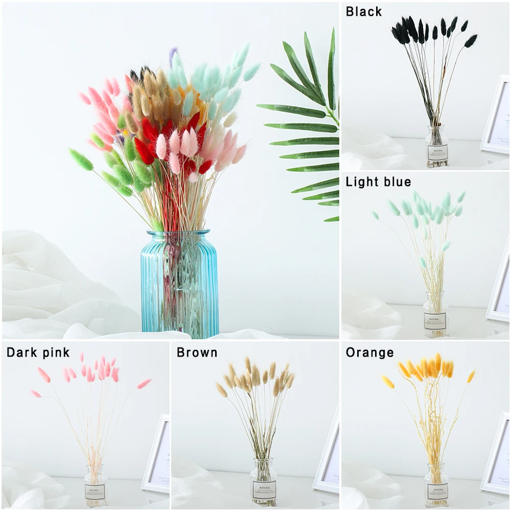 New 20Pcs Rabbit Tail Grass Natural Dried Flowers Artificial Decoration Flower Arrangement Lagurus Ovatus Real Grass Bunch Props
New 20Pcs Rabbit Tail Grass Natural Dried Flowers Artificial Decoration Flower Arrangement Lagurus Ovatus Real Grass Bunch Props