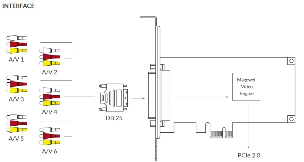 Pro capture cvbs interface