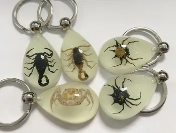 free shipping yqtdmy 5 pcs fashion drop design glow drop double scorpion spider crab light keychain 
free shipping yqtdmy 5 pcs fashion drop design glow drop double scorpion spider crab light keychain