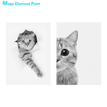 Cat Black white picture Diamond Painting animal Round Full Drill 5D Nouveaute DIY Mosaic Embroidery Cross Stitch home decor gift 
Cat Black white picture Diamond Painting animal Round Full Drill 5D Nouveaute DIY Mosaic Embroidery Cross Stitch home decor gift
