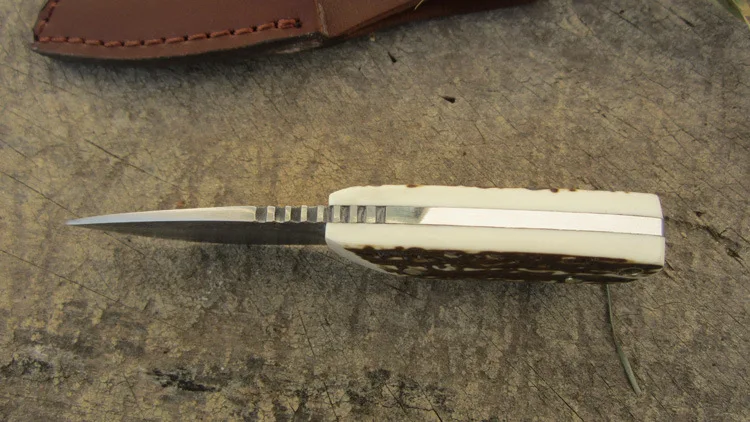 3602867239_742635196