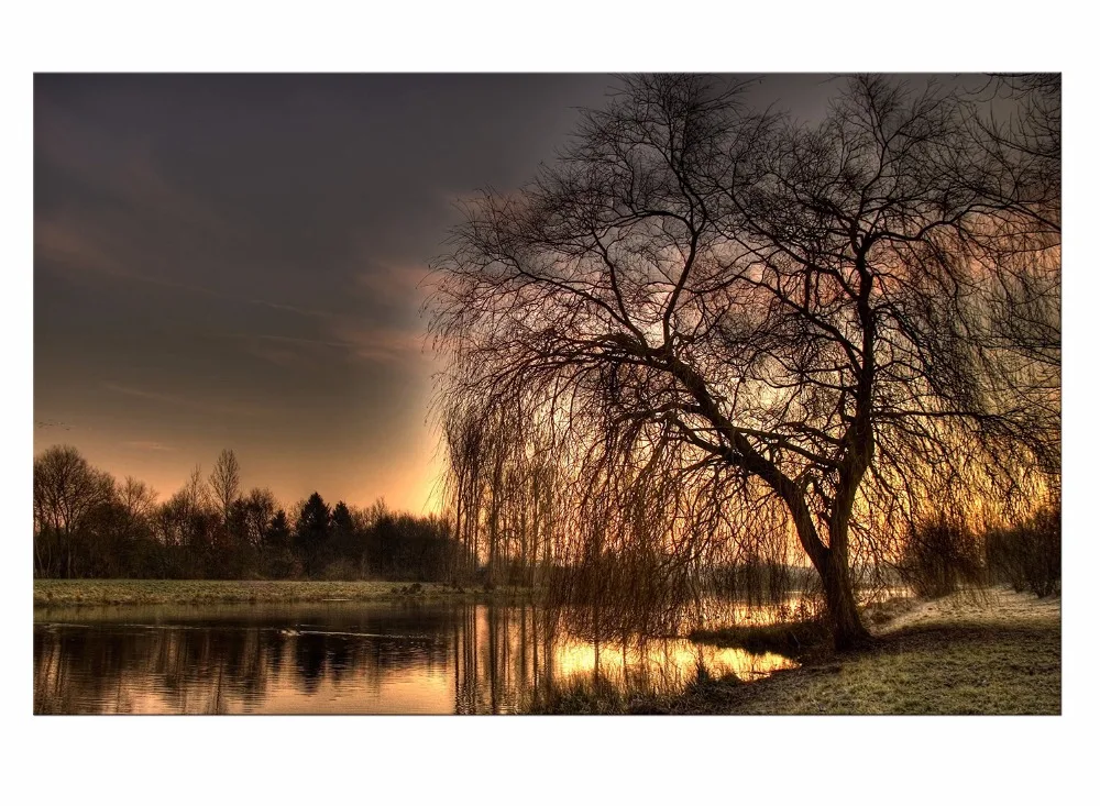 1 Panel Free Shipping Canvas Painting Sunset Lake Tree seascape Landscape Poster Printing Wall Art decor Picture print Framed
1 Panel Free Shipping Canvas Painting Sunset Lake Tree seascape Landscape Poster Printing Wall Art decor Picture print Framed