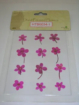 Pressed flower dried flower DIY material Multicolor with sticks Silver hoof lotus sale 1 lot/5 bags Free shipment
Pressed flower dried flower DIY material Multicolor with sticks Silver hoof lotus sale 1 lot/5 bags Free shipment