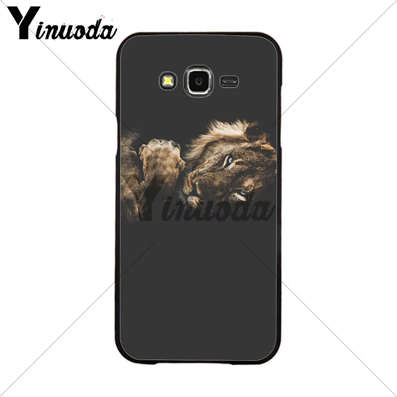 Animals The lion
