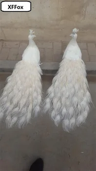 a pair of white real life peacock models foam&feather simulation beautiful peacock bird gift about 80cm xf0321
a pair of white real life peacock models foam&feather simulation beautiful peacock bird gift about 80cm xf0321