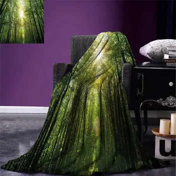 Forest Throw Summer Trees Upward View with Sunrays Leaking from Branches Nature Image Warm Microfiber Blanket
Forest Throw Summer Trees Upward View with Sunrays Leaking from Branches Nature Image Warm Microfiber Blanket