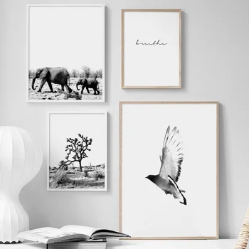 Natural Bird Elephant Forest Tree Quotes Wall Art Canvas Painting Nordic Posters And Prints Wall Pictures For Living Room Decor
Natural Bird Elephant Forest Tree Quotes Wall Art Canvas Painting Nordic Posters And Prints Wall Pictures For Living Room Decor