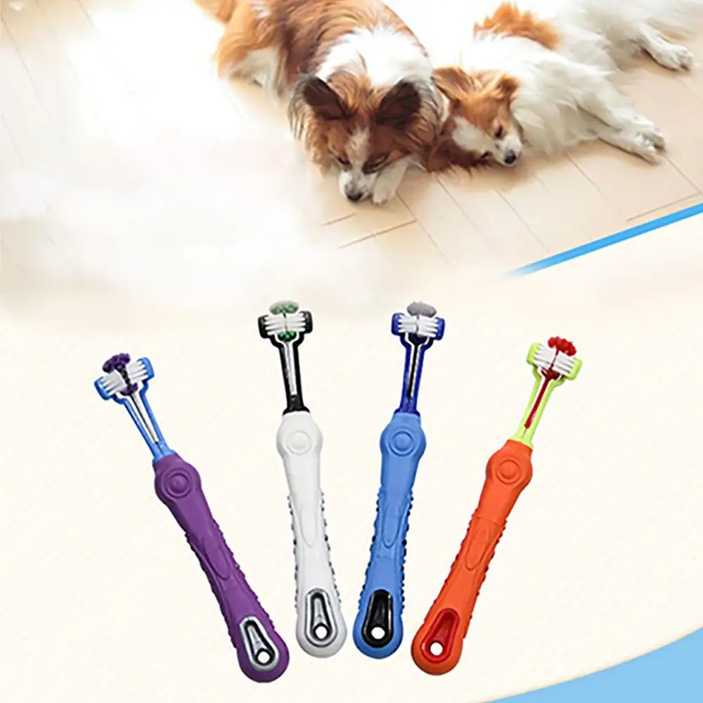 Dog Pets Toothbrush Teeth Cleaning Three Head Dogs Toothbrush Non-slip Handle Perfect Teeth Care Products Cleaning Mouth
Dog Pets Toothbrush Teeth Cleaning Three Head Dogs Toothbrush Non-slip Handle Perfect Teeth Care Products Cleaning Mouth