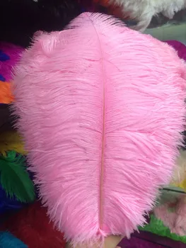 China ZP factory 45 ~ 50 cm (18 ~ 20 inches) long 100 / batch Pink large ostrich feathers wedding decoration
China ZP factory 45 ~ 50 cm (18 ~ 20 inches) long 100 / batch Pink large ostrich feathers wedding decoration