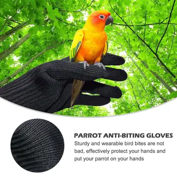 1 Pair Of Parrot Anti-Bite Gloves Parrot Squirrels Hamster Hedgehog Chewing Protective Breathable Gloves Pet Training Supplies
1 Pair Of Parrot Anti-Bite Gloves Parrot Squirrels Hamster Hedgehog Chewing Protective Breathable Gloves Pet Training Supplies