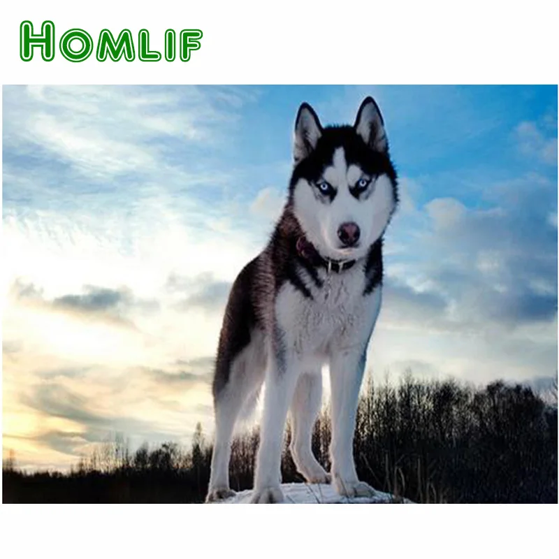 HOMLIF DIY 3D Diamond Painting Cross Stitch Animals Husky Dog Full Diamond Mosaic Pattern Rhinestones Christmas Decorations
HOMLIF DIY 3D Diamond Painting Cross Stitch Animals Husky Dog Full Diamond Mosaic Pattern Rhinestones Christmas Decorations