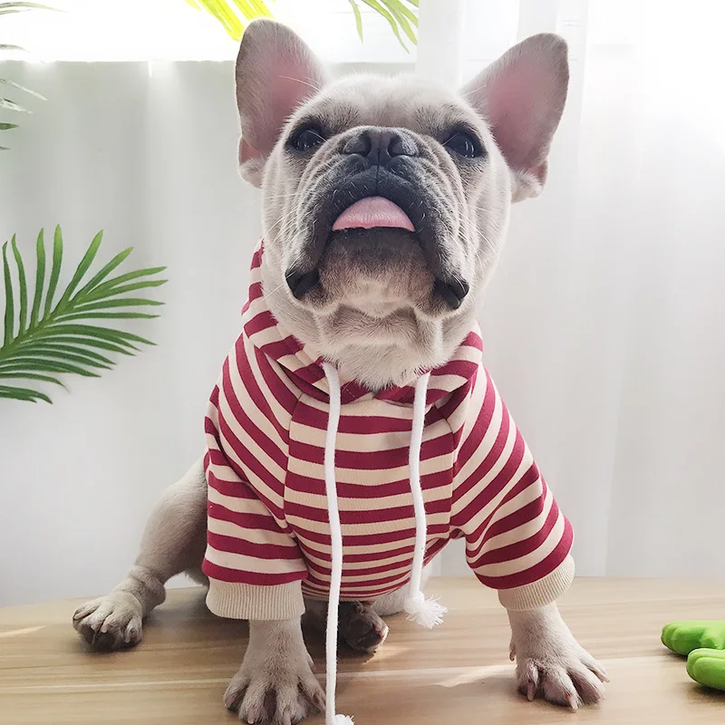 Fashion and Warm Dog Hoodie Sweatshirt Cat Chihuahua Yorkshire Terrier Poodle Bichon Pug French Bulldog Dog Clothes Pet Coat
Fashion and Warm Dog Hoodie Sweatshirt Cat Chihuahua Yorkshire Terrier Poodle Bichon Pug French Bulldog Dog Clothes Pet Coat
