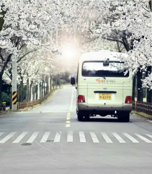 TR 5X7ft Road Street City Backdrops For Photo Studio Blooming White Flowers Photography Background Vinyl Backdrop Digital Cloth
TR 5X7ft Road Street City Backdrops For Photo Studio Blooming White Flowers Photography Background Vinyl Backdrop Digital Cloth