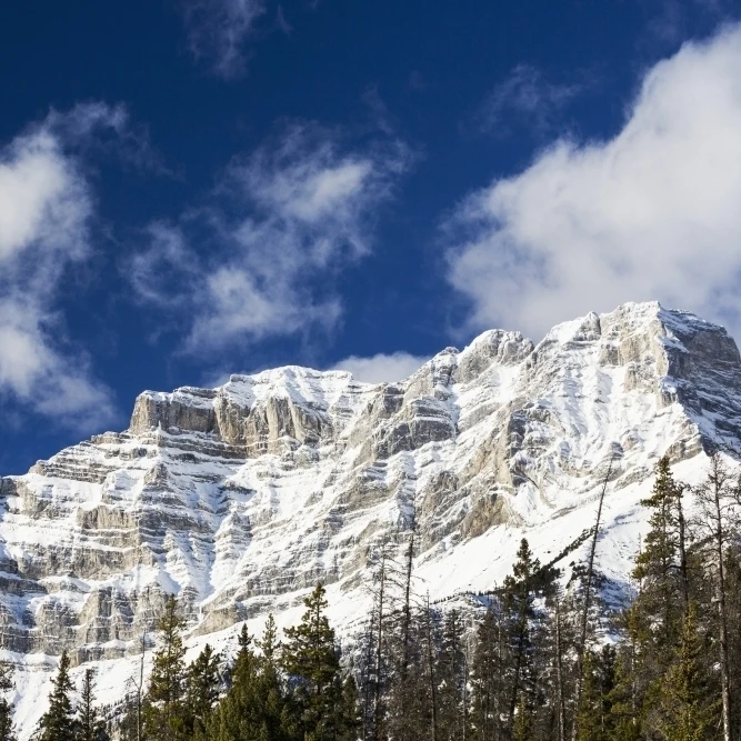 Snow covered mountain peak with evergreen trees with blue sky and clouds; Banff Alberta Canada Poster Print (19 x 12)