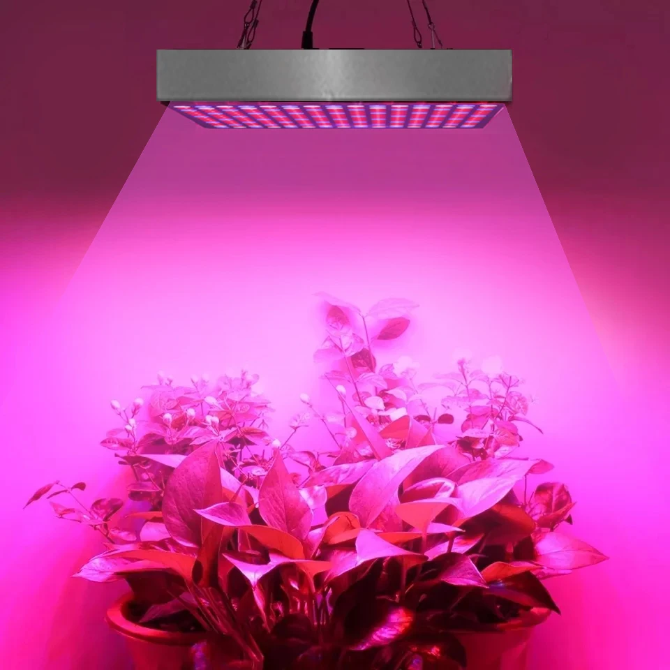 Fitolamp 45W Grow Light Lamp For Plants Fito LED Grow Tent Light Full Spectrum Grow Box Indoor Plant Growth Lights Growing Lamps
Fitolamp 45W Grow Light Lamp For Plants Fito LED Grow Tent Light Full Spectrum Grow Box Indoor Plant Growth Lights Growing Lamps