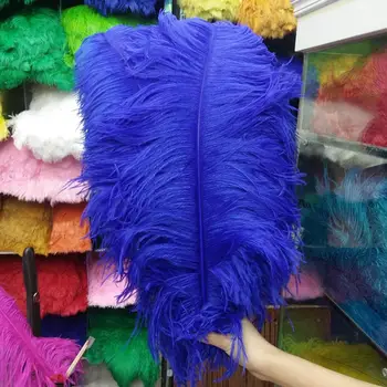 Beautiful 50 PCS Blue "thick stem" male ostrich feathers 60-65 cm/24-26 inches Wedding Birthday Christmas Decorations
Beautiful 50 PCS Blue "thick stem" male ostrich feathers 60-65 cm/24-26 inches Wedding Birthday Christmas Decorations