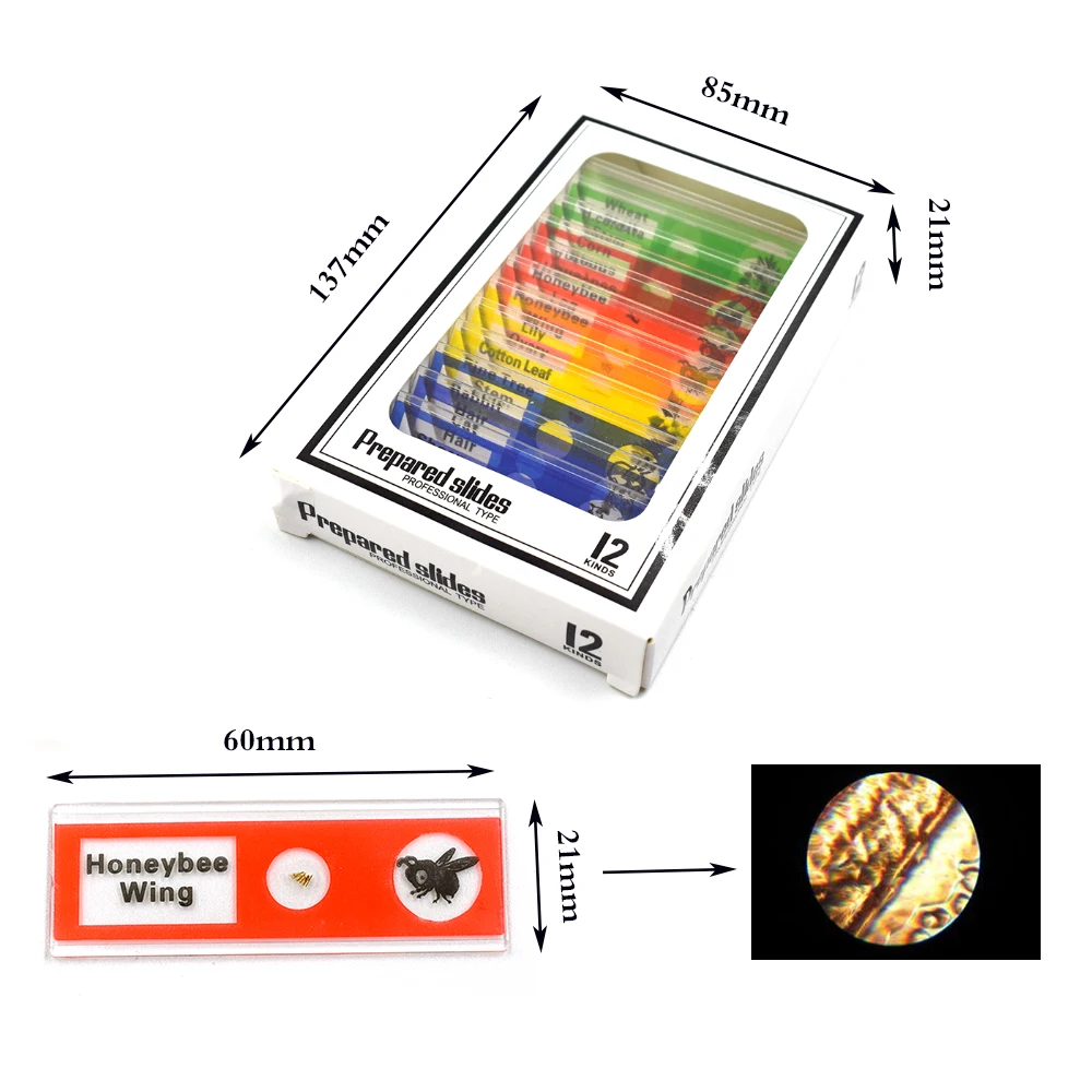 Kit de Microscope LED de laboratoire 100X-400X-1200X maison école Science jouet éducatif cadeau Microscope biologique raffiné pour enfants enfant Kit de Microscope LED de laboratoire 100X-400X-1200X maison école Science jouet éducatif cadeau Microscope biologique raffiné pour enfants enfant