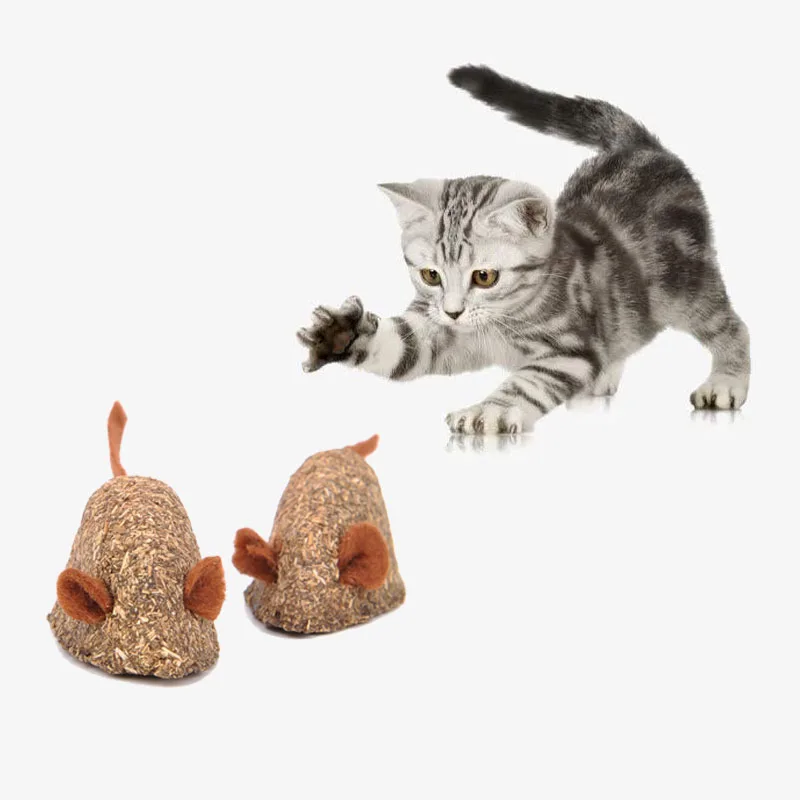 1/2/3 Pcs Pure Natural Catnip Mouse Pet Cat Toy Molar Toothpaste Branch Cleaning Teeth Cat Snacks Sticks Pet Supplies
1/2/3 Pcs Pure Natural Catnip Mouse Pet Cat Toy Molar Toothpaste Branch Cleaning Teeth Cat Snacks Sticks Pet Supplies