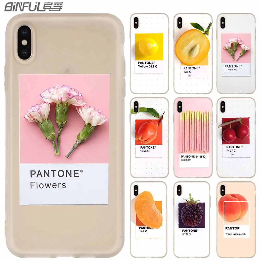 MLLSE Pantone Candy Color Fruit Phone Case FOR iPhone11 Pro X XS Max XR For iPhone 5 5S SE 6S 6 4 4S 7 8 Plus
MLLSE Pantone Candy Color Fruit Phone Case FOR iPhone11 Pro X XS Max XR For iPhone 5 5S SE 6S 6 4 4S 7 8 Plus