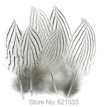 100Pcs/lot! 4-6inches 10-15cm NATURAL Silver Pheasant Feathers, Unique Silver Pheasant Body Feathers
100Pcs/lot! 4-6inches 10-15cm NATURAL Silver Pheasant Feathers, Unique Silver Pheasant Body Feathers