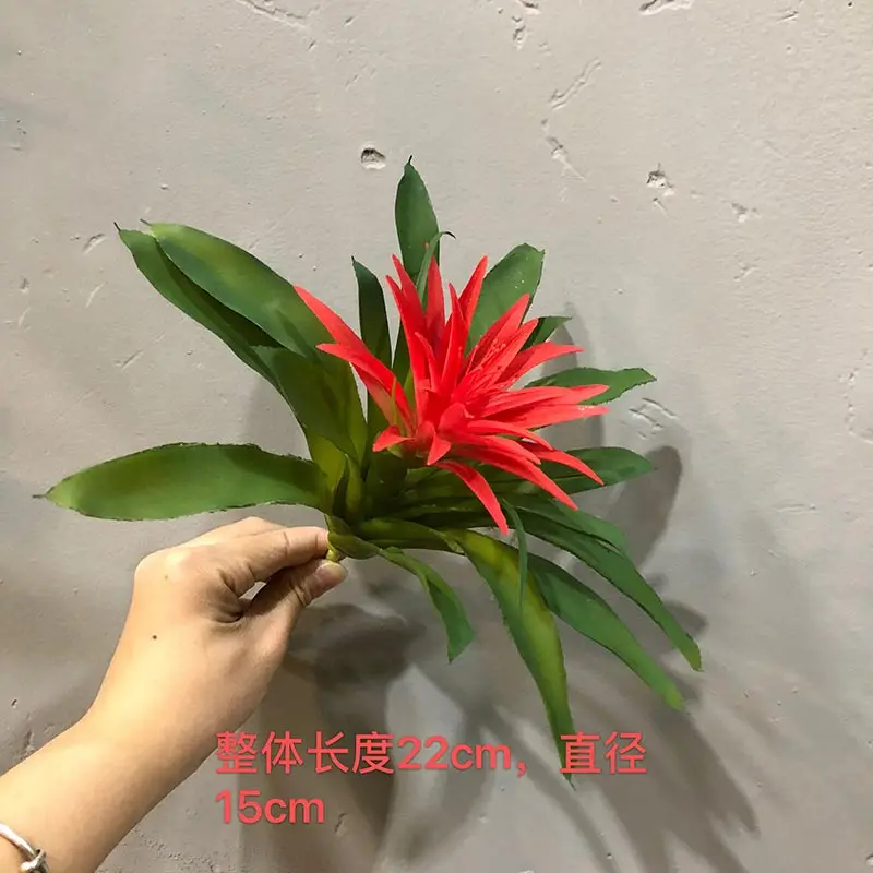 K5