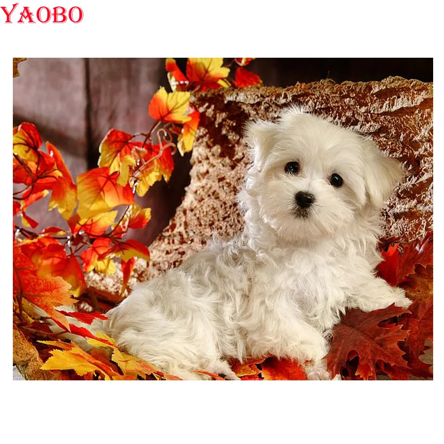 diy square round Diamond Painting"Malta Dog" 5D Diamond Embroidery sale Rhinestone Mosaic Painting cute dog pet home stickers
diy square round Diamond Painting"Malta Dog" 5D Diamond Embroidery sale Rhinestone Mosaic Painting cute dog pet home stickers