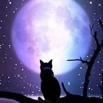 CAMMITEVER 5D DIY Diamond Embroidery Night Moon Cat Diamond Painting Cross Stitch Full Drill Mosaic Decoration
CAMMITEVER 5D DIY Diamond Embroidery Night Moon Cat Diamond Painting Cross Stitch Full Drill Mosaic Decoration