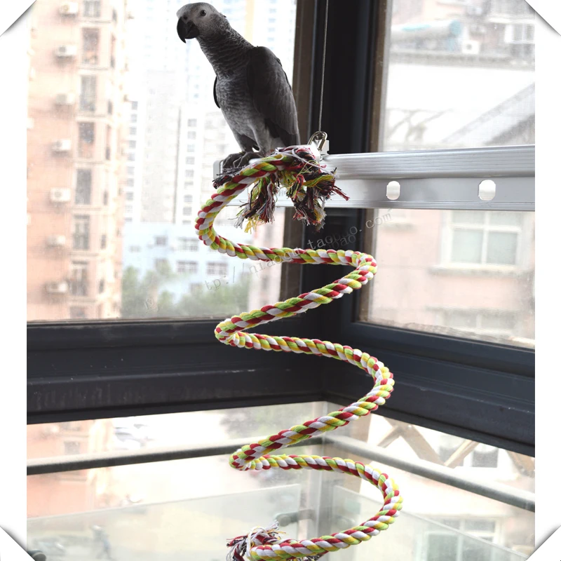 2meters ROPE COIL PERCH SWING WITH BELL -Squirrel Parrot Toys &Parts for medium and large birds
2meters ROPE COIL PERCH SWING WITH BELL -Squirrel Parrot Toys &Parts for medium and large birds