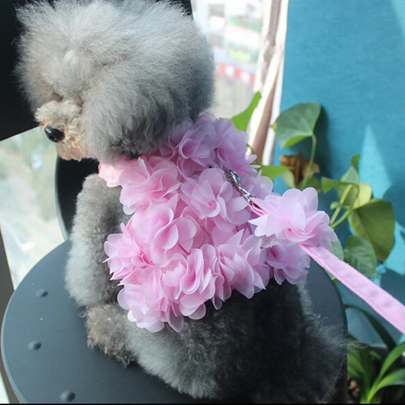 Flowers Decoration Comfort Soft Breathable Adjustable Dog Harness Pet Vest Rope Dog Chest Strap Leash Set Collar Leads Harness
Flowers Decoration Comfort Soft Breathable Adjustable Dog Harness Pet Vest Rope Dog Chest Strap Leash Set Collar Leads Harness