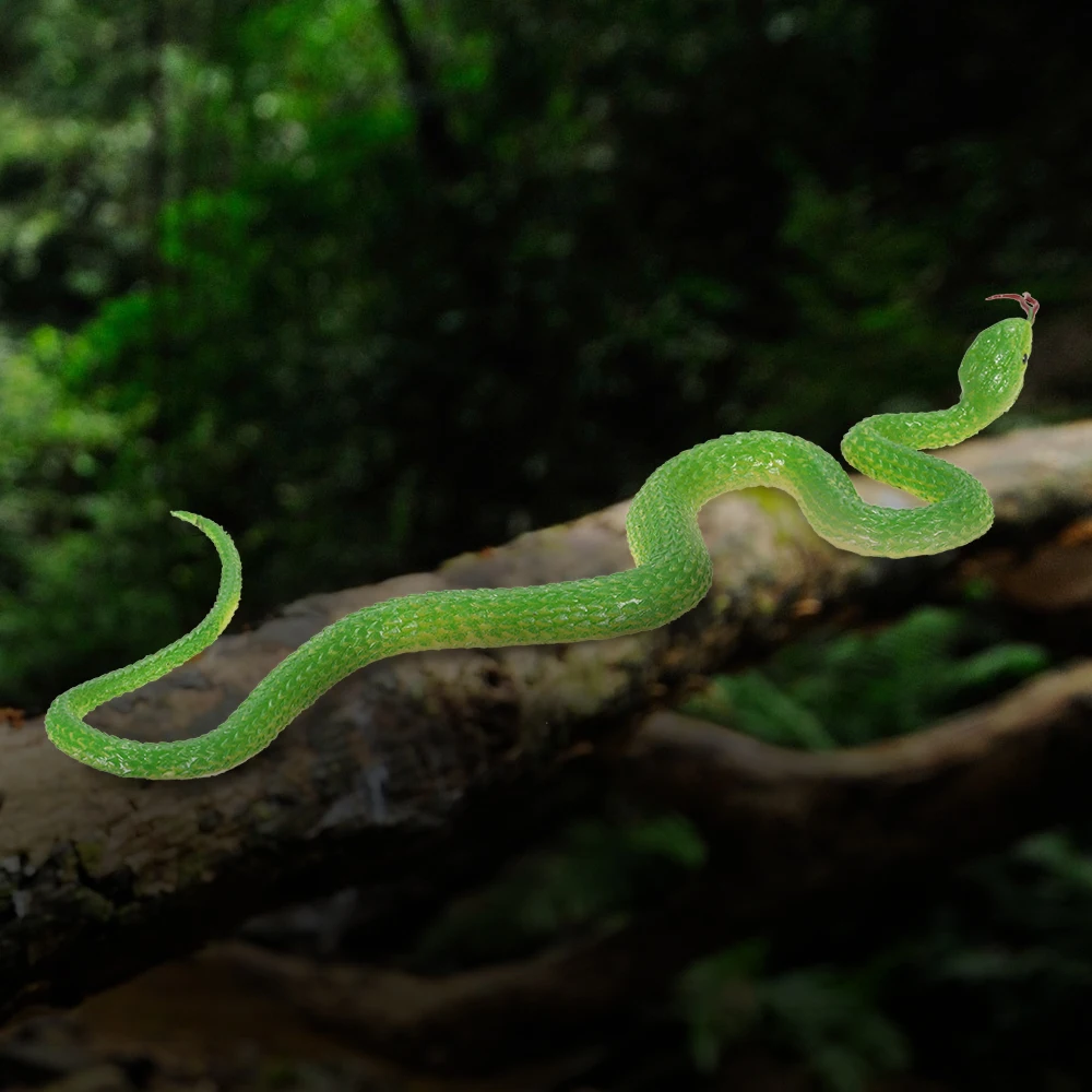 New Simulation Rubber Snake Fake Artificial Rubber Faux Snake Model Toy Snake Fake Animal Gift Halloween Costume Party Supplies
New Simulation Rubber Snake Fake Artificial Rubber Faux Snake Model Toy Snake Fake Animal Gift Halloween Costume Party Supplies