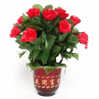 Remote control Rose Bloom magic trick Potted 20 flowers open automatic magic props wedding magic
Remote control Rose Bloom magic trick Potted 20 flowers open automatic magic props wedding magic