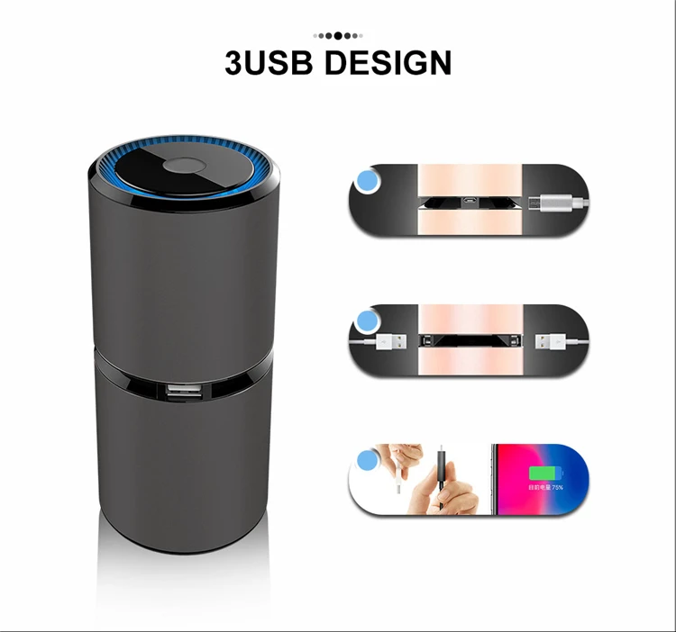 Ionic Air Purifier