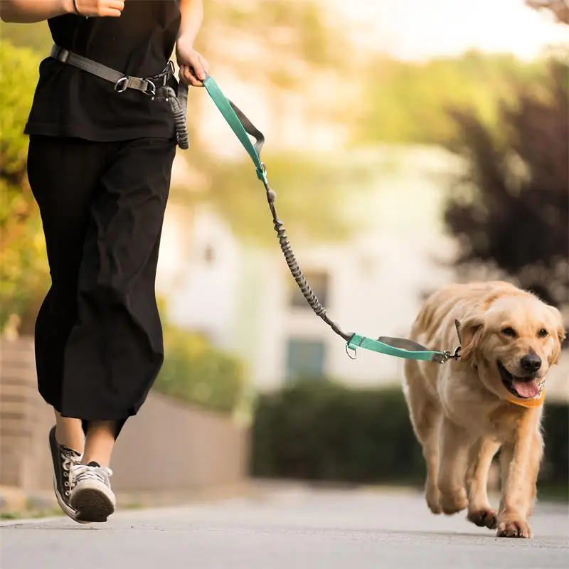 FML Pet Leash Reflective Hands Free Dog Lead Nylon Pet Supplies Retractable Dog Leash Running Jogging Large Dog Leash for 2 Dogs
FML Pet Leash Reflective Hands Free Dog Lead Nylon Pet Supplies Retractable Dog Leash Running Jogging Large Dog Leash for 2 Dogs