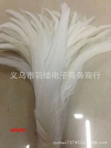 Decolorized Colored Cocktail Stage Performance Clothing Feather 30-35cm Mask Hat Headdress Decoration
Decolorized Colored Cocktail Stage Performance Clothing Feather 30-35cm Mask Hat Headdress Decoration