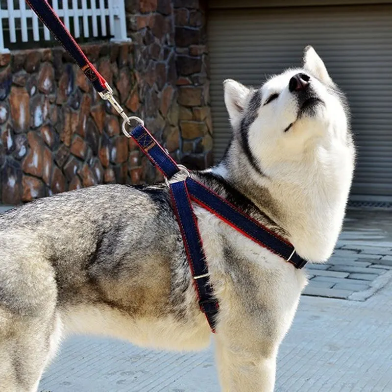 Dog Harness and Leash Set Pet Cowboy Chest Strap with Traction Rope Personalized Telescopic Buckle for Dog Outdoor Traction
Dog Harness and Leash Set Pet Cowboy Chest Strap with Traction Rope Personalized Telescopic Buckle for Dog Outdoor Traction