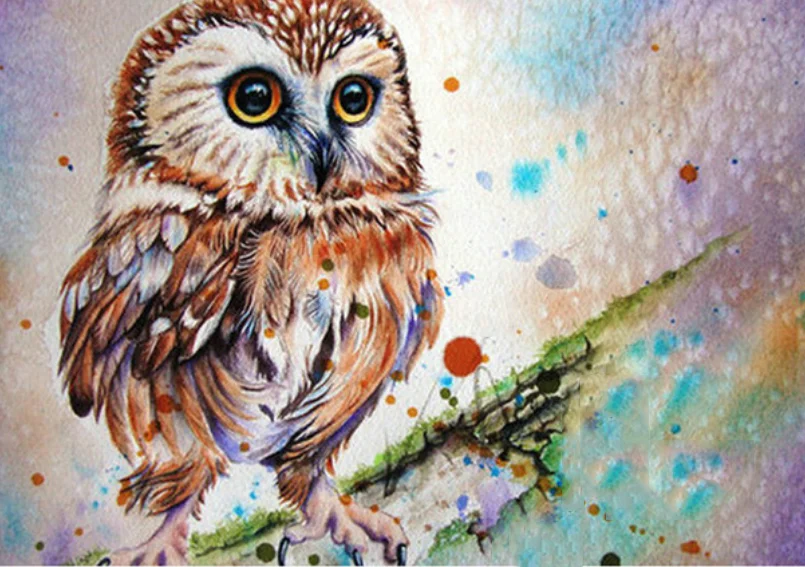5D Diamond Embroidery Owl Animals Cross Stitch DIY Diamond Painting Full diamond scenery rhinestones Home Decor gift
5D Diamond Embroidery Owl Animals Cross Stitch DIY Diamond Painting Full diamond scenery rhinestones Home Decor gift