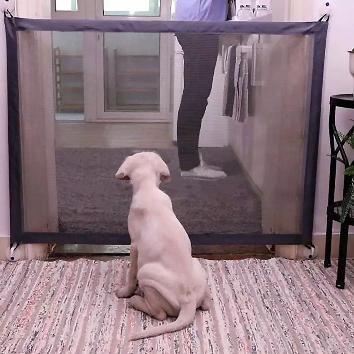 Behogar Pet Dog Safety Gate Portable Mesh Folding Fences for Kitchen Bathroom House Indoor Stairs 110 x 72cm Black
Behogar Pet Dog Safety Gate Portable Mesh Folding Fences for Kitchen Bathroom House Indoor Stairs 110 x 72cm Black