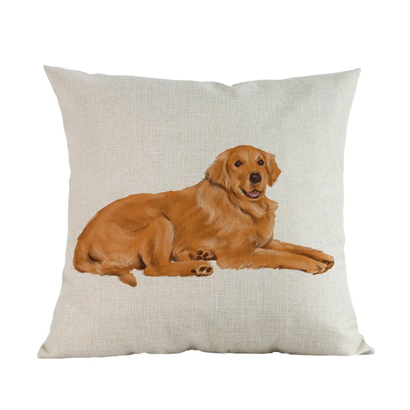golden-retriever