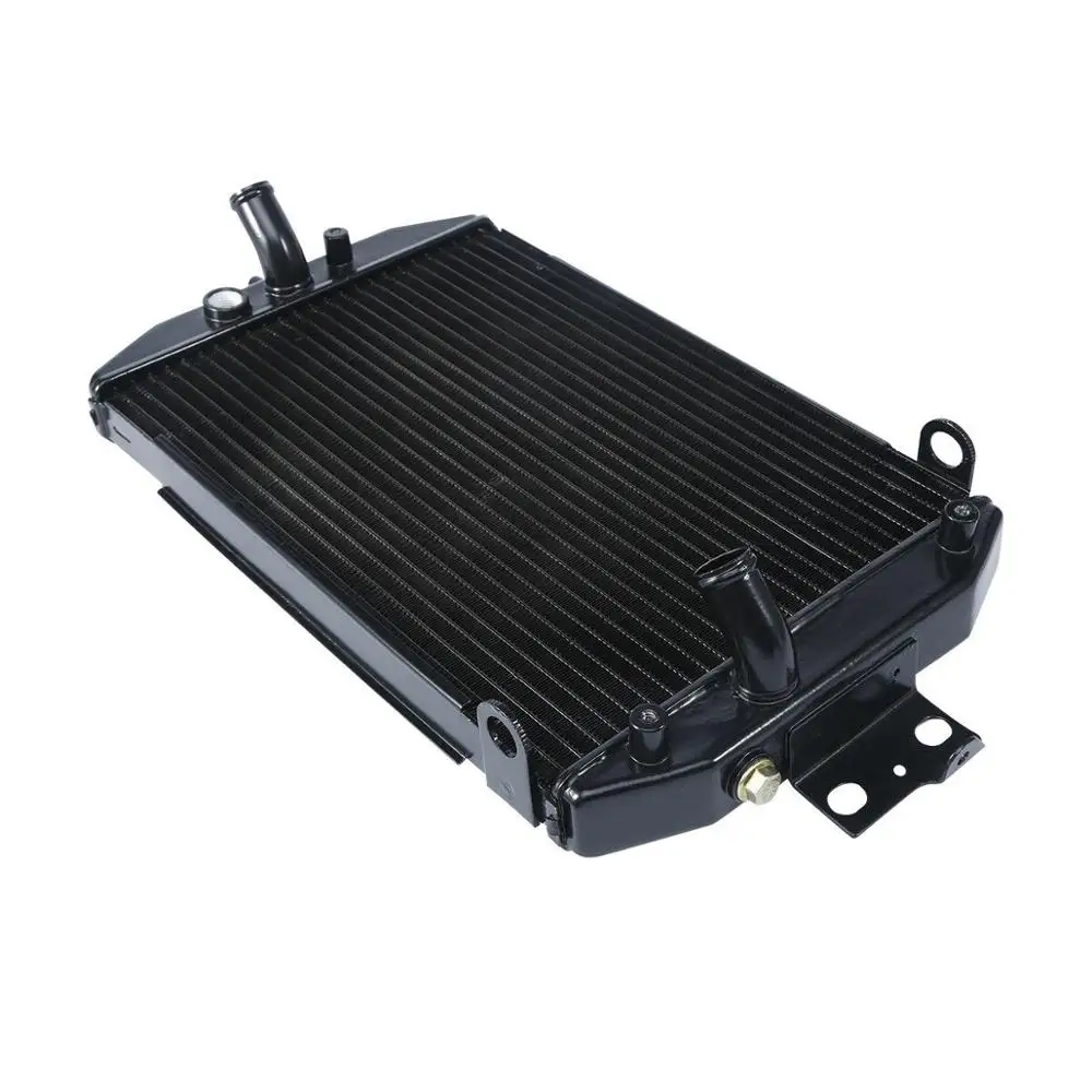 Motorcycle Black Radiator Oil Cooler For YAMAHA XVZ1300 XVZ 1300 ROYAL STAR 2005-2009 Scooter
Motorcycle Black Radiator Oil Cooler For YAMAHA XVZ1300 XVZ 1300 ROYAL STAR 2005-2009 Scooter