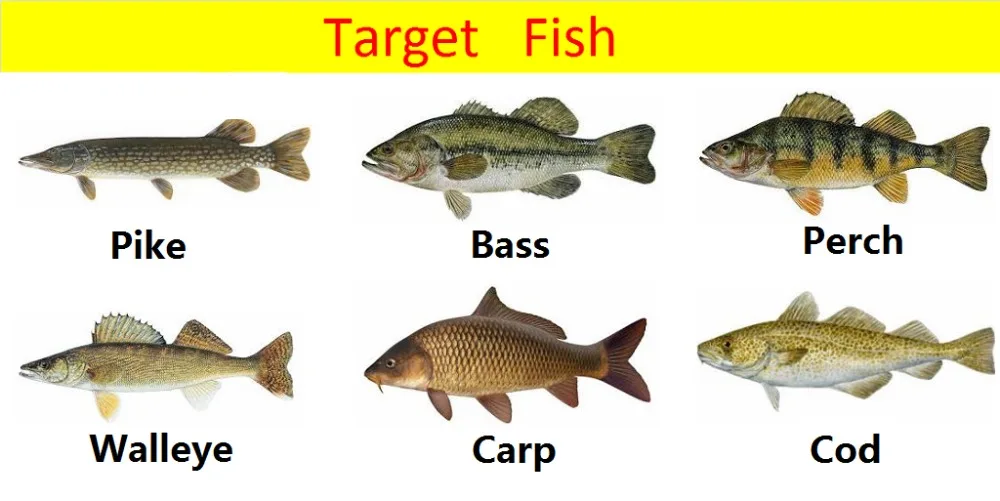 targetfish