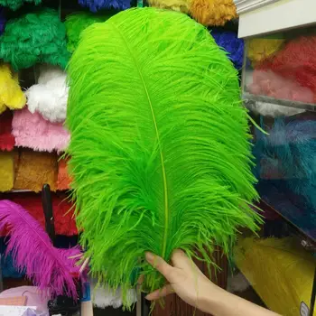Beautiful 50 PCS Fruit green "thick stem" male ostrich feathers 60-65 cm/24-26 inches Wedding Birthday Christmas Decorations 
Beautiful 50 PCS Fruit green "thick stem" male ostrich feathers 60-65 cm/24-26 inches Wedding Birthday Christmas Decorations