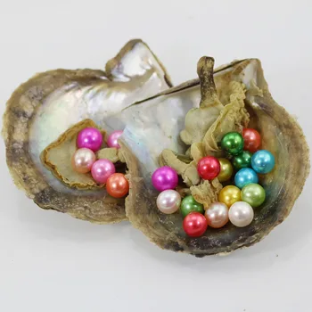 Wish Pearl Oyster Jewelry Gifts Live Party 6-7mm AAA Grade Vacuum-packed saltwater Oysters Shell Akoya round Pearls AR005
Wish Pearl Oyster Jewelry Gifts Live Party 6-7mm AAA Grade Vacuum-packed saltwater Oysters Shell Akoya round Pearls AR005