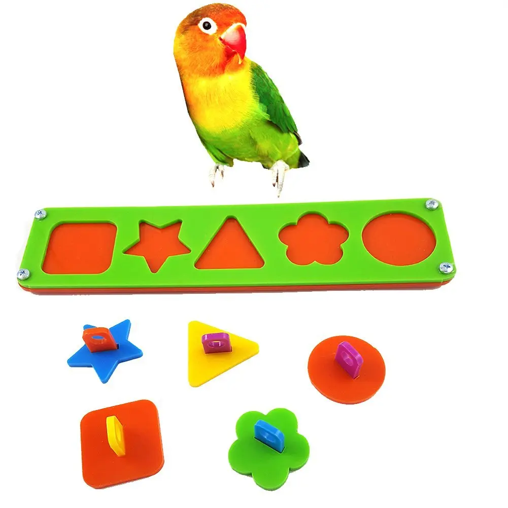 Colorful Different Shapes Building Blocks Parrot Bird Educational Intelligent Training Toys
Colorful Different Shapes Building Blocks Parrot Bird Educational Intelligent Training Toys