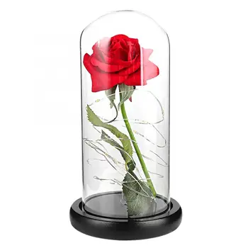 20 LED Rose Flower Night Light with Glass Cover Base Valentines'Day Wedding Chrismas Gift
20 LED Rose Flower Night Light with Glass Cover Base Valentines'Day Wedding Chrismas Gift