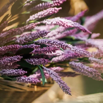 Handmade Artificial Flowers Beautiful Senaque Lavender Long Branch Decorative Fake Flowers Home/Party/Holiday Decor
Handmade Artificial Flowers Beautiful Senaque Lavender Long Branch Decorative Fake Flowers Home/Party/Holiday Decor