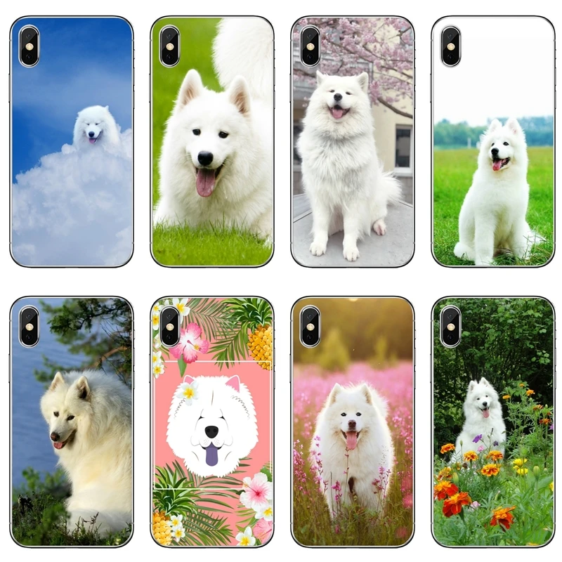 cute white Samoyed dog For Samsung Galaxy S10 S9 S8 S7 S6 edge Plus Lite S5 S4 Note 9 8 5 case Soft phone cover cases
cute white Samoyed dog For Samsung Galaxy S10 S9 S8 S7 S6 edge Plus Lite S5 S4 Note 9 8 5 case Soft phone cover cases
