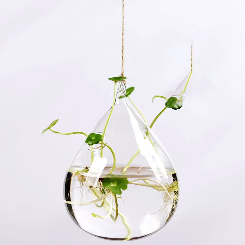 Transparent Hanging Glass Vase Terrarium Vases Hydroponic Plant Flower Clear Container Home Decoration Accessories
Transparent Hanging Glass Vase Terrarium Vases Hydroponic Plant Flower Clear Container Home Decoration Accessories