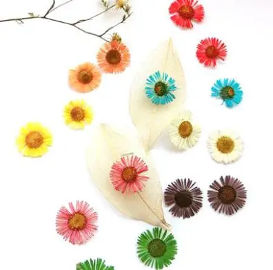 10pcs/lot Chrysanthemum Dried Flowers Preserved Flower for Diy Pressed Flower Craft Card Bookmark
10pcs/lot Chrysanthemum Dried Flowers Preserved Flower for Diy Pressed Flower Craft Card Bookmark