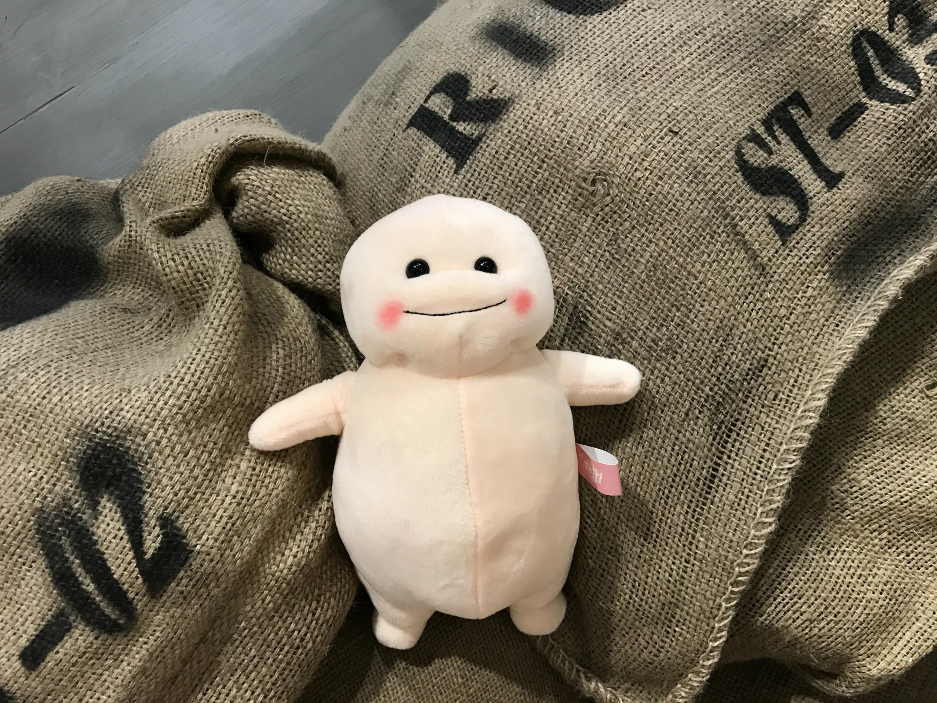 jibang doll korea